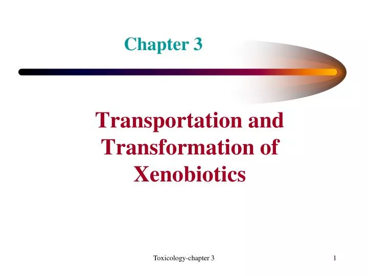 transportation and transformation of xenobiotics