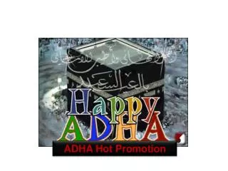 ADHA Hot Promotion