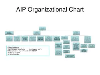 AIP Organizational Chart