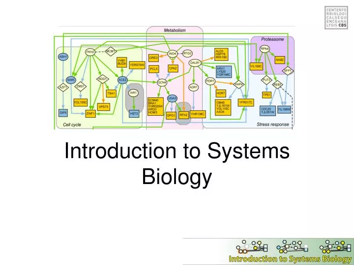 introduction to systems biology