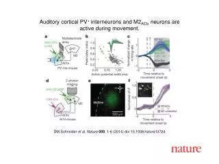 DM Schneider et al. Nature 000 , 1-6 (2014) doi:10.1038/nature13724