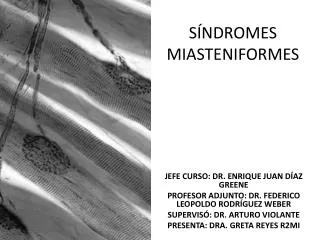s ndromes miasteniformes