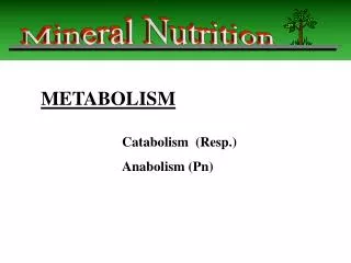 Catabolism (Resp.) 		Anabolism (Pn)