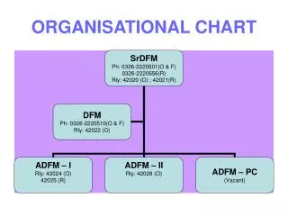 organisational chart
