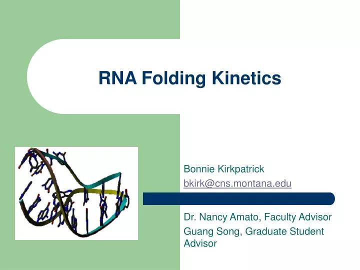 rna folding kinetics