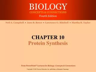 CHAPTER 10 Protein Synthesis