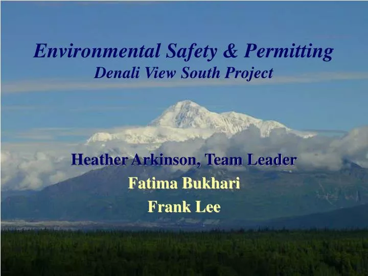 environmental safety permitting denali view south project