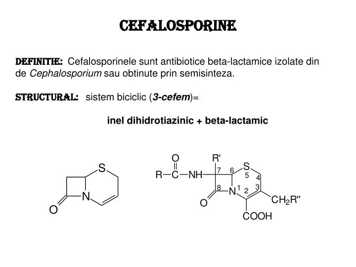 cefalosporine