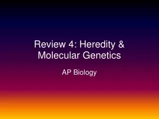 Review 4: Heredity &amp; Molecular Genetics