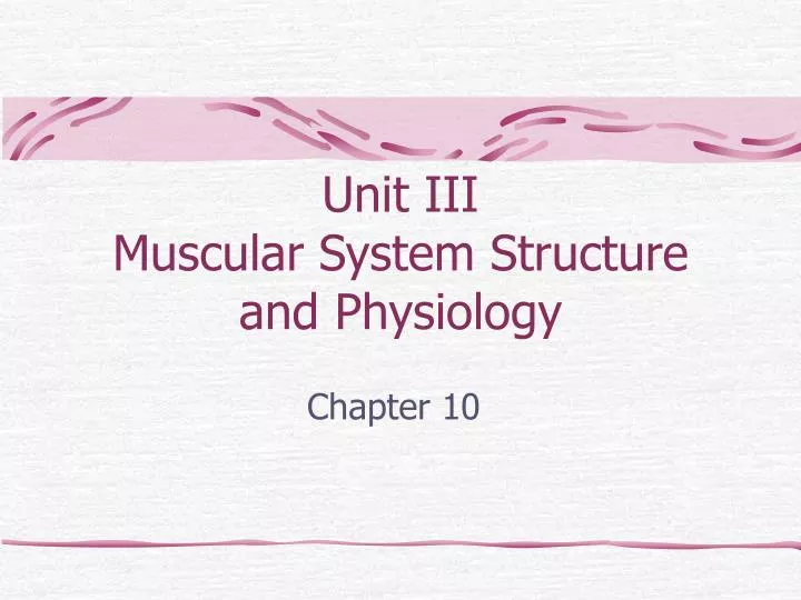 unit iii muscular system structure and physiology