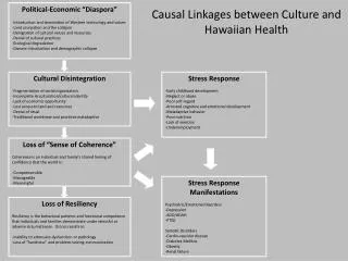 Causal Linkages between Culture and Hawaiian Health