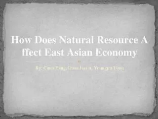 How Does Natural Resource Affect East Asian Economy