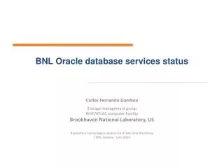 BNL Oracle database services status