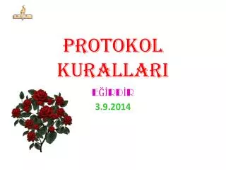 protokol kurallari