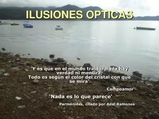 ilusiones opticas