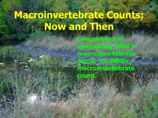 Macroinvertebrate Counts; Now and Then