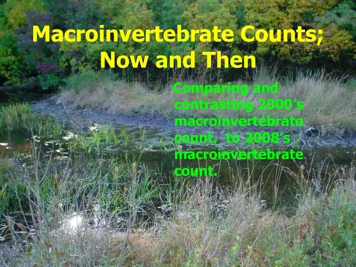 macroinvertebrate counts now and then