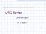 LMCC Review - slide 1