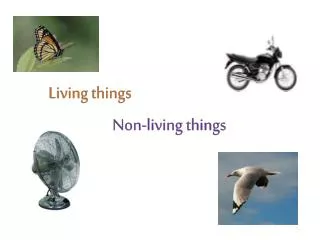 Non-living things