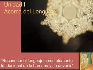 unidad i acerca del lenguaje