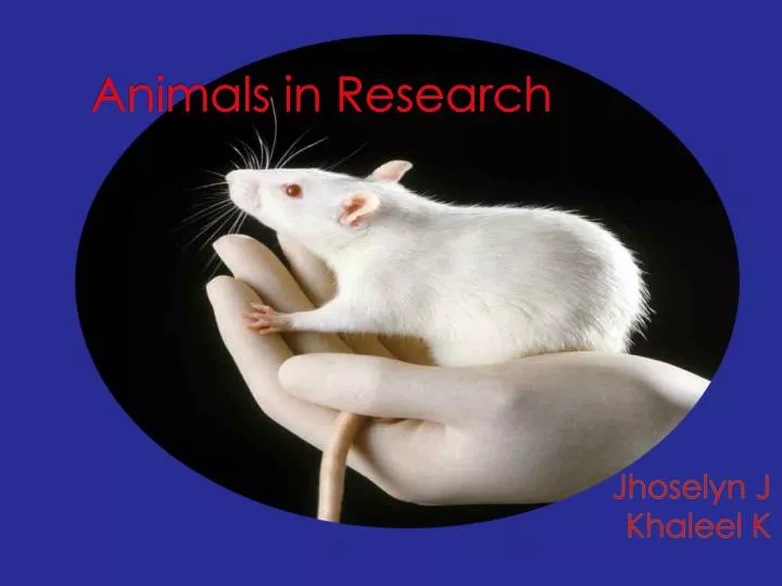 animals in research