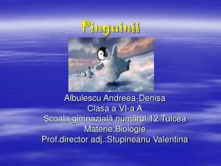 Pinguinii