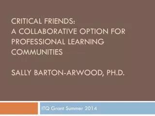 ITQ Grant Summer 2014