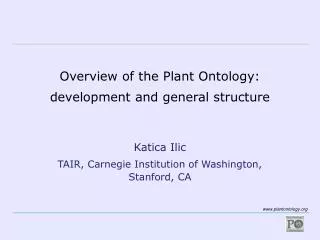 Overview of the Plant Ontology: development and general structure