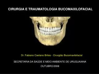 SECRETARIA DA SAÚDE E MEIO AMBIENTE DE URUGUAIANA OUTUBRO/2008