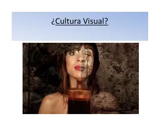 cultura visual