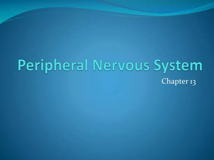 peripheral nervous system