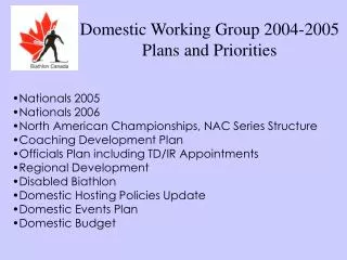 Domestic Working Group 2004-2005 Plans and Priorities