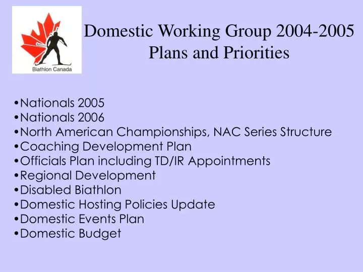 domestic working group 2004 2005 plans and priorities