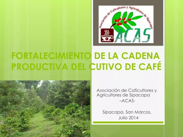 fortalecimiento de la cadena productiva del cutivo de caf