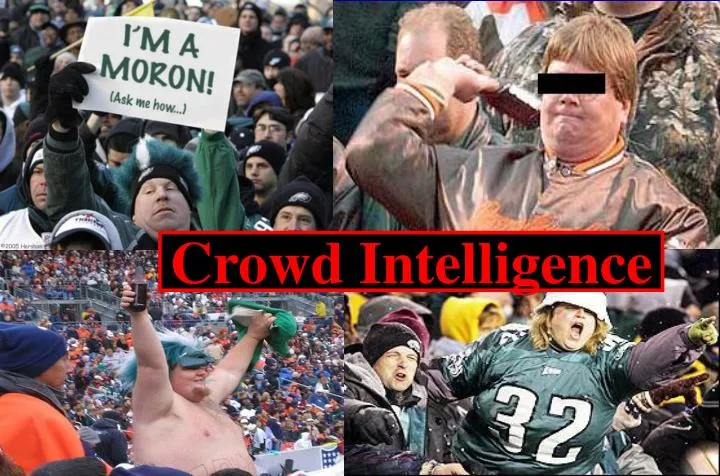 crowd intelligence