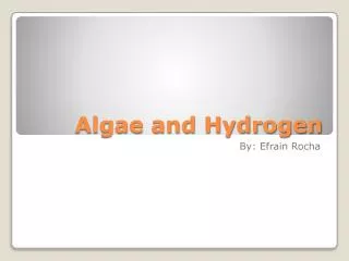 Algae and Hydrogen