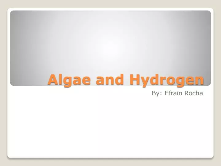 algae and hydrogen