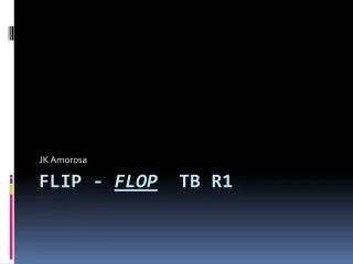 Flip - Flop TB R1