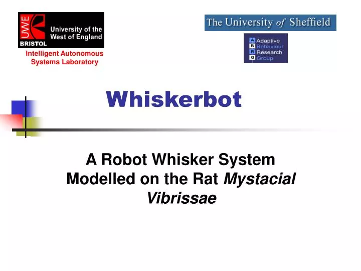 whiskerbot