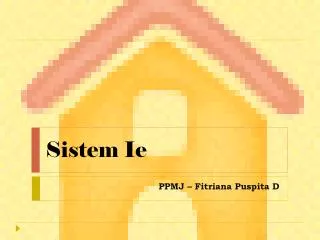 sistem ie