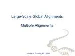 Steps for Assembling a Genome through Large-Scale Global Alignments - slide 1