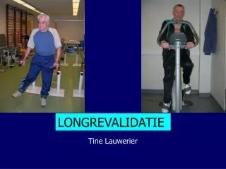 tine lauwerier