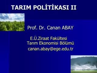 tarim pol t kasi ii