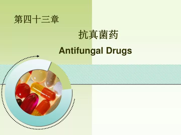 antifungal drugs