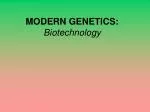 MODERN GENETICS: Biotechnology - slide 1