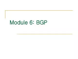 Module 6: BGP