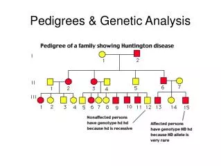 Pedigrees &amp; Genetic Analysis