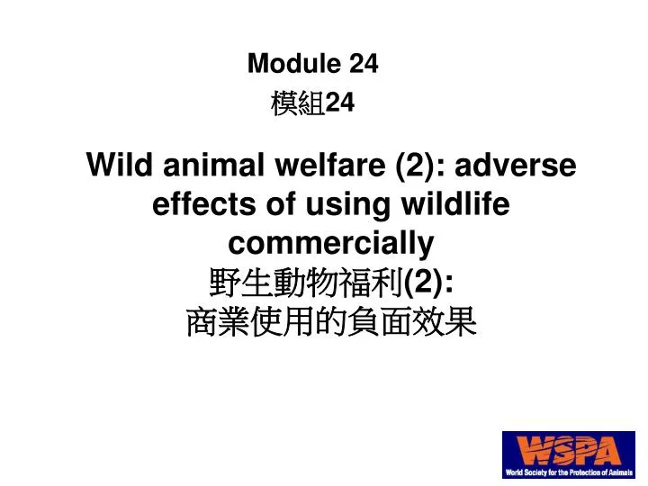 wild animal welfare 2 adverse effects of using wildlife commercially 2
