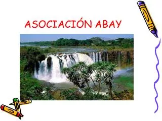 asociaci n abay
