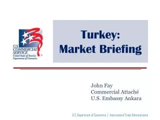 Turkey: Market Briefing
